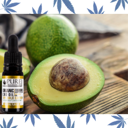 WHEN SHOULD I TAKE CBD OIL – BEFORE OR AFTER FOOD?